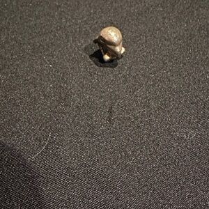 Pandora Silver Dolphin Charm